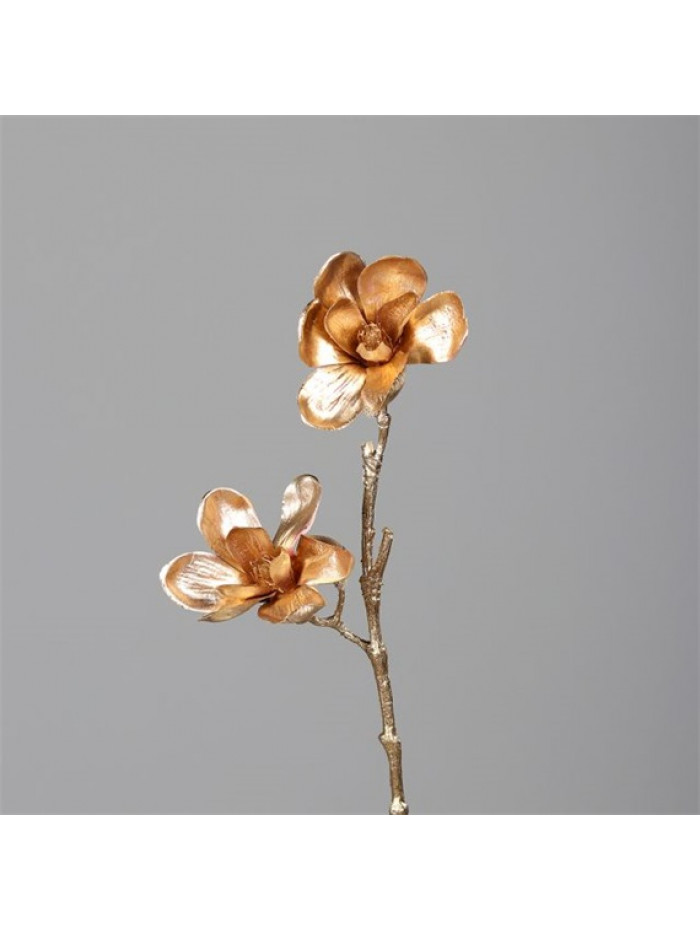 Um.magnolia zlata 70cm dpi2514296