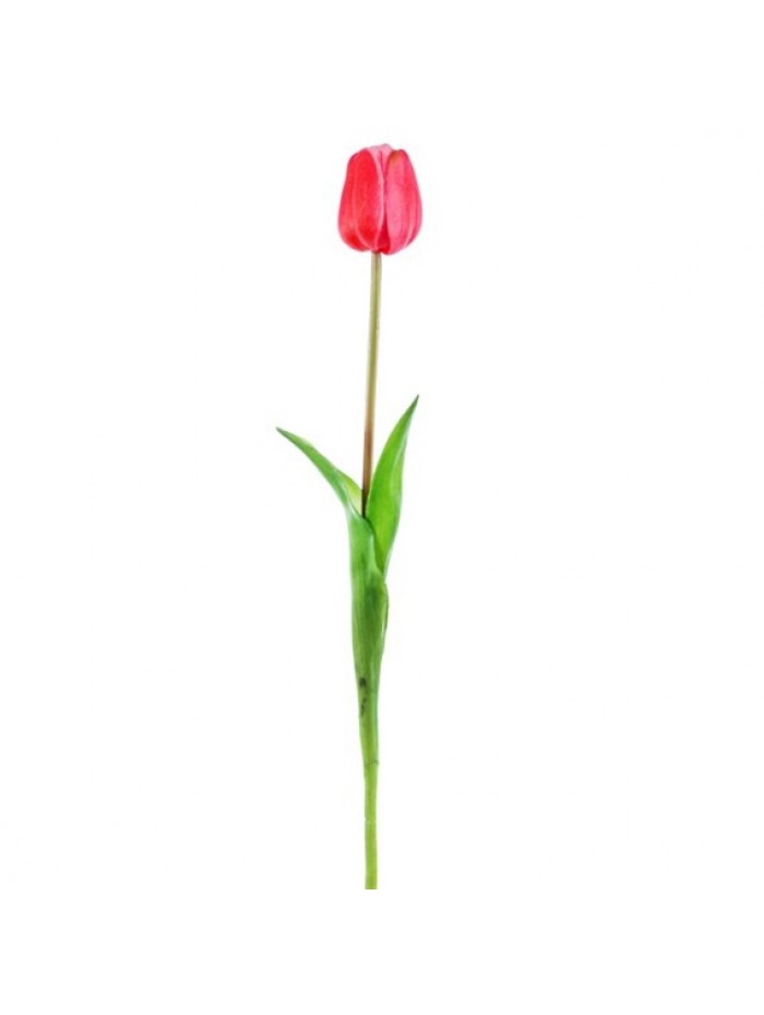 Um.tulipan 47cm a2722902 a2722903 a2722904 a2722905 a2722906 a2722915