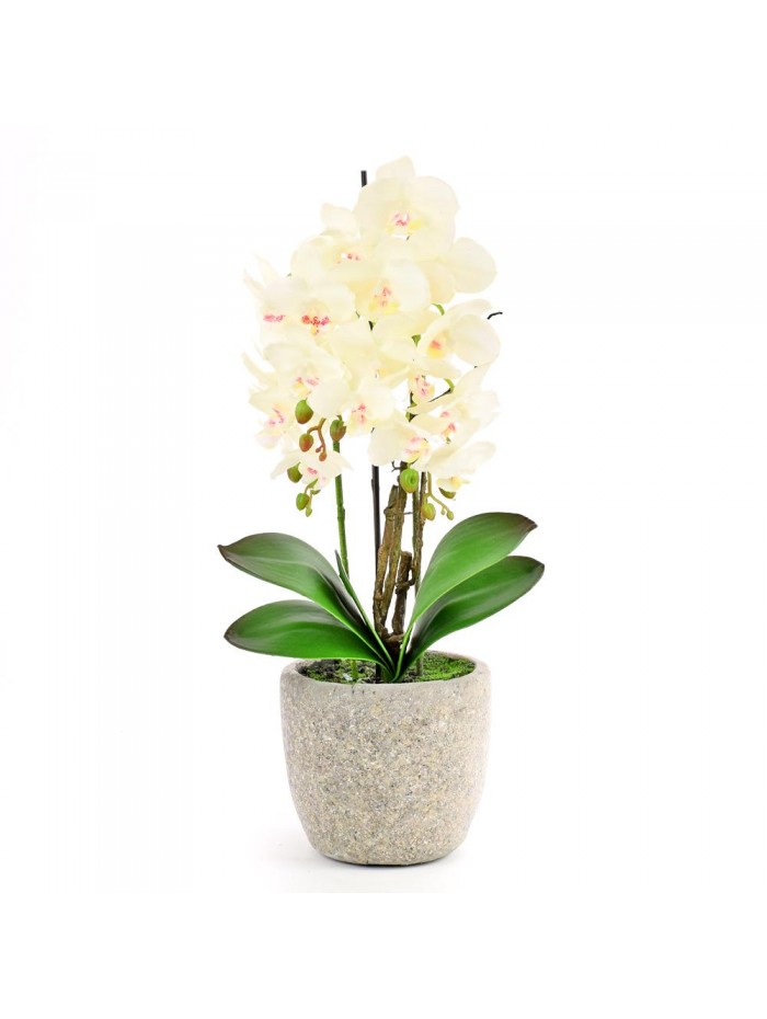 Orchidea v kvetinaci biela 61cm 3vyhon 1400031